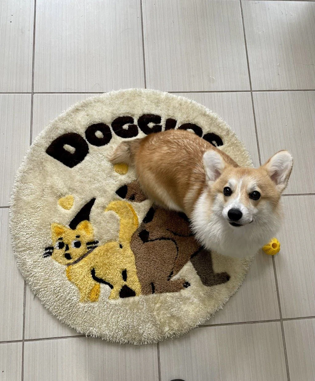Грумінг-салон "Doggies" — фото 3
