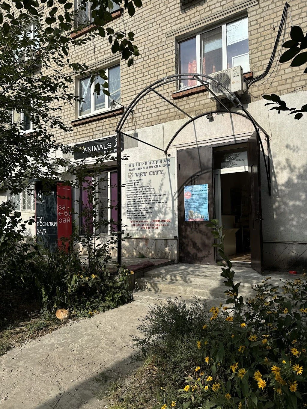 Стрижка собак "IVA.Groom" — фото 3