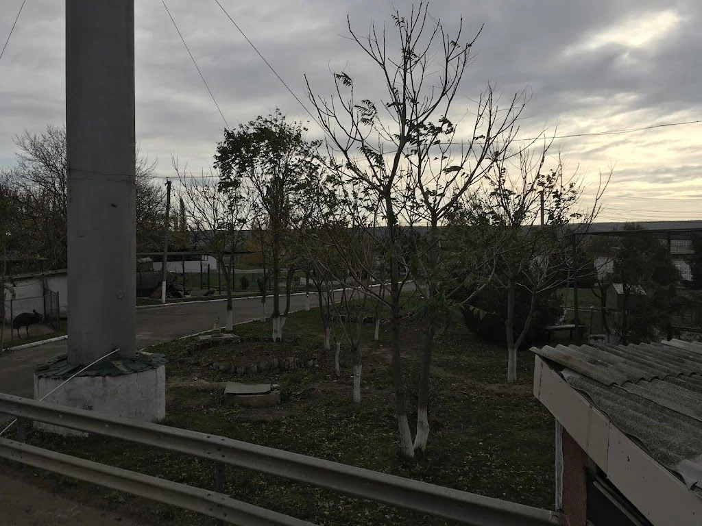 Парк з тваринами — фото 3
