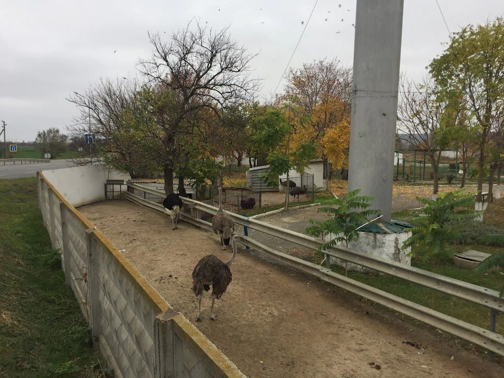 Парк з тваринами — фото 2