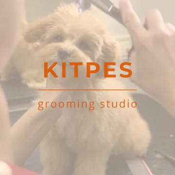 Фото бізнесу Грумінг-салон "KITPES"