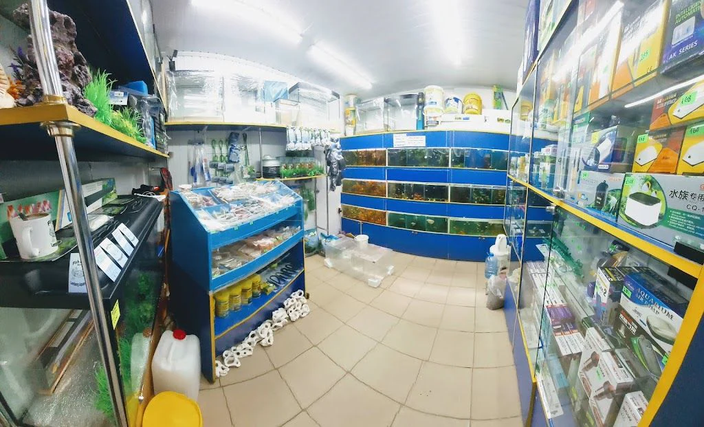 Магазин акваріумів "Lemberg Aquarium" — фото 5