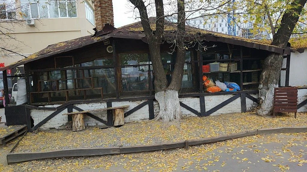 Порятунок тварин Харків — фото 2