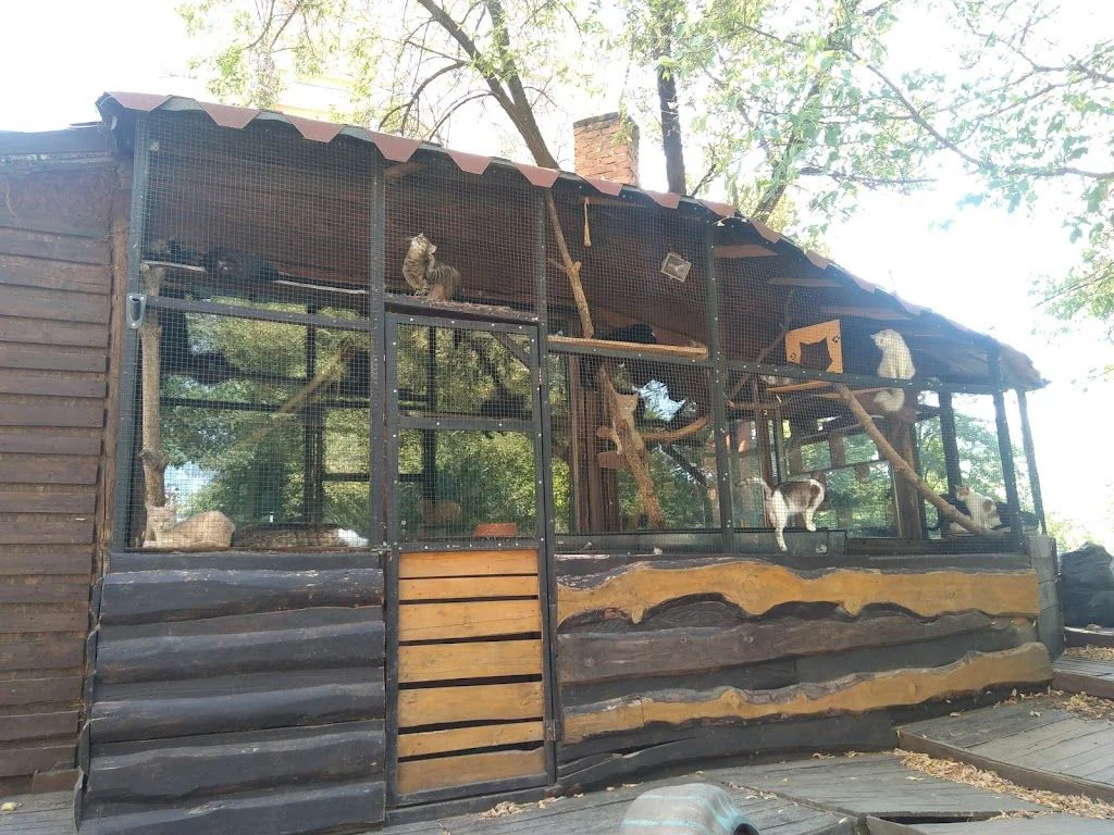 Порятунок тварин Харків — фото 5