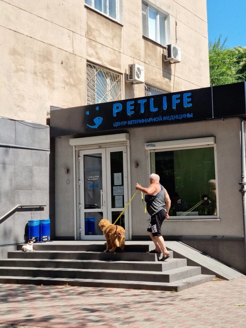 Центр ветеринарної медицини "PETLIFE" — фото 2
