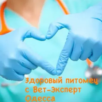 Фото бізнесу Ветеринарна клініка "Вет-Експерт"