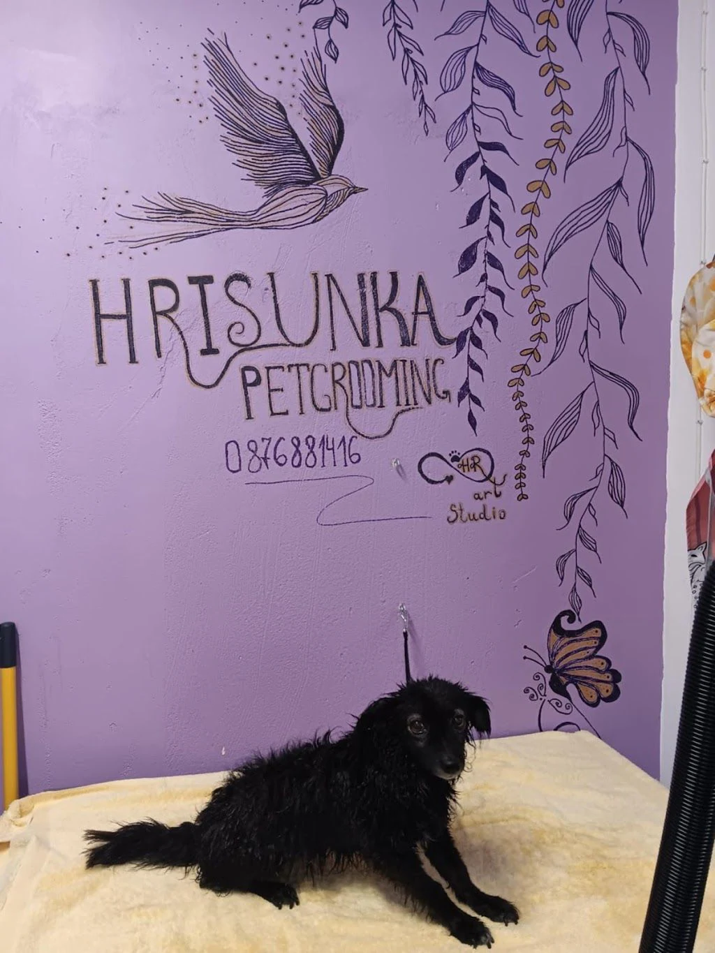 Груминг за кучета "Hrisunka" — фото 2