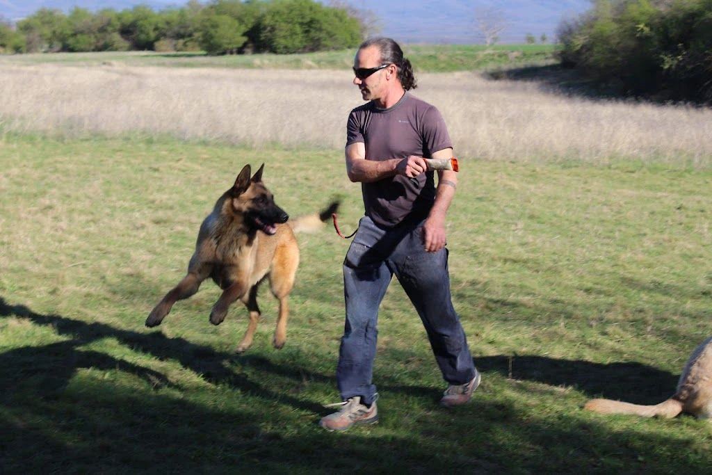 Център за обучение на кучета "V T Dog Training Center" — фото 4
