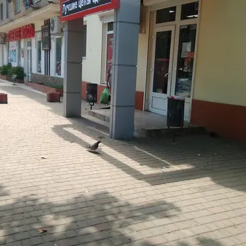 Фото бізнесу Зоомагазин "Містер Дог"
