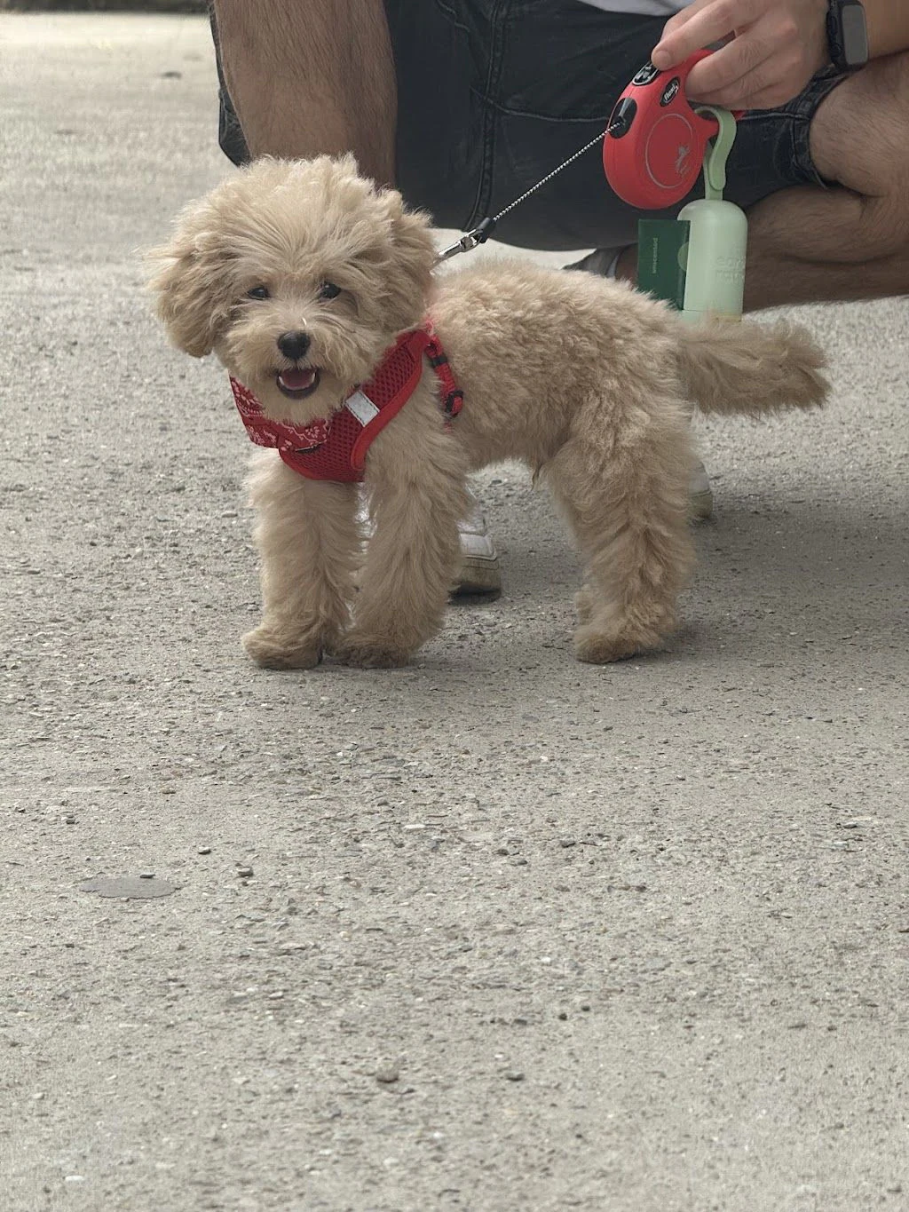 Груминг салон "Happy Dog" — фото 4