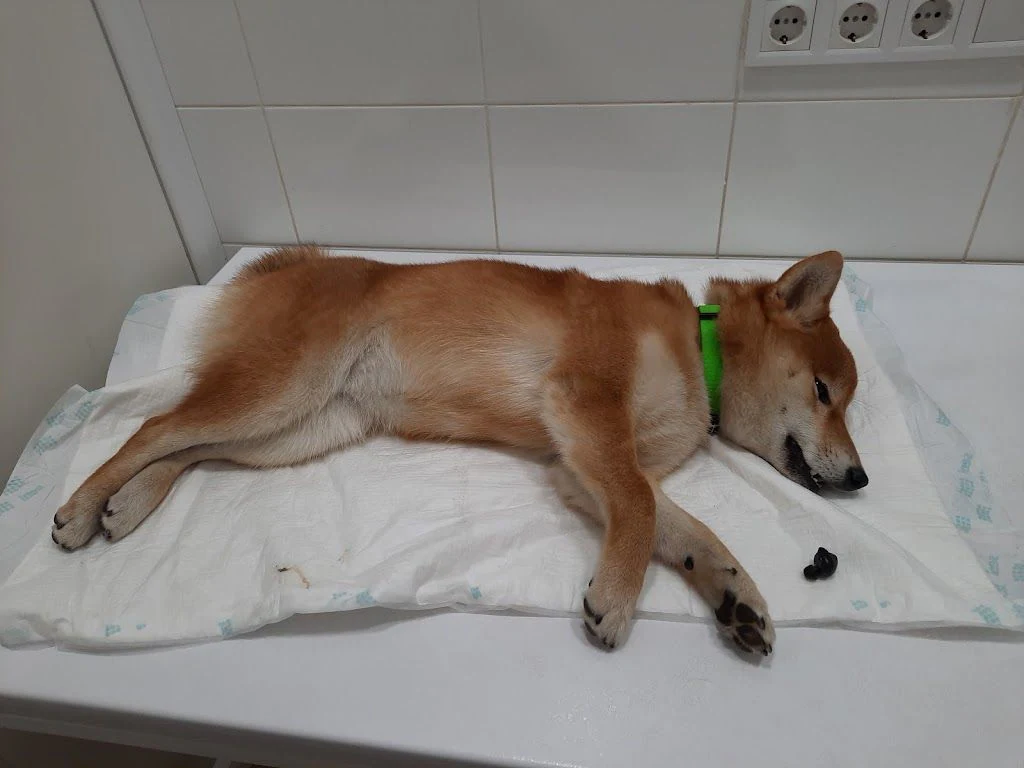 Зоокомплекс "Троїцький" — фото 5