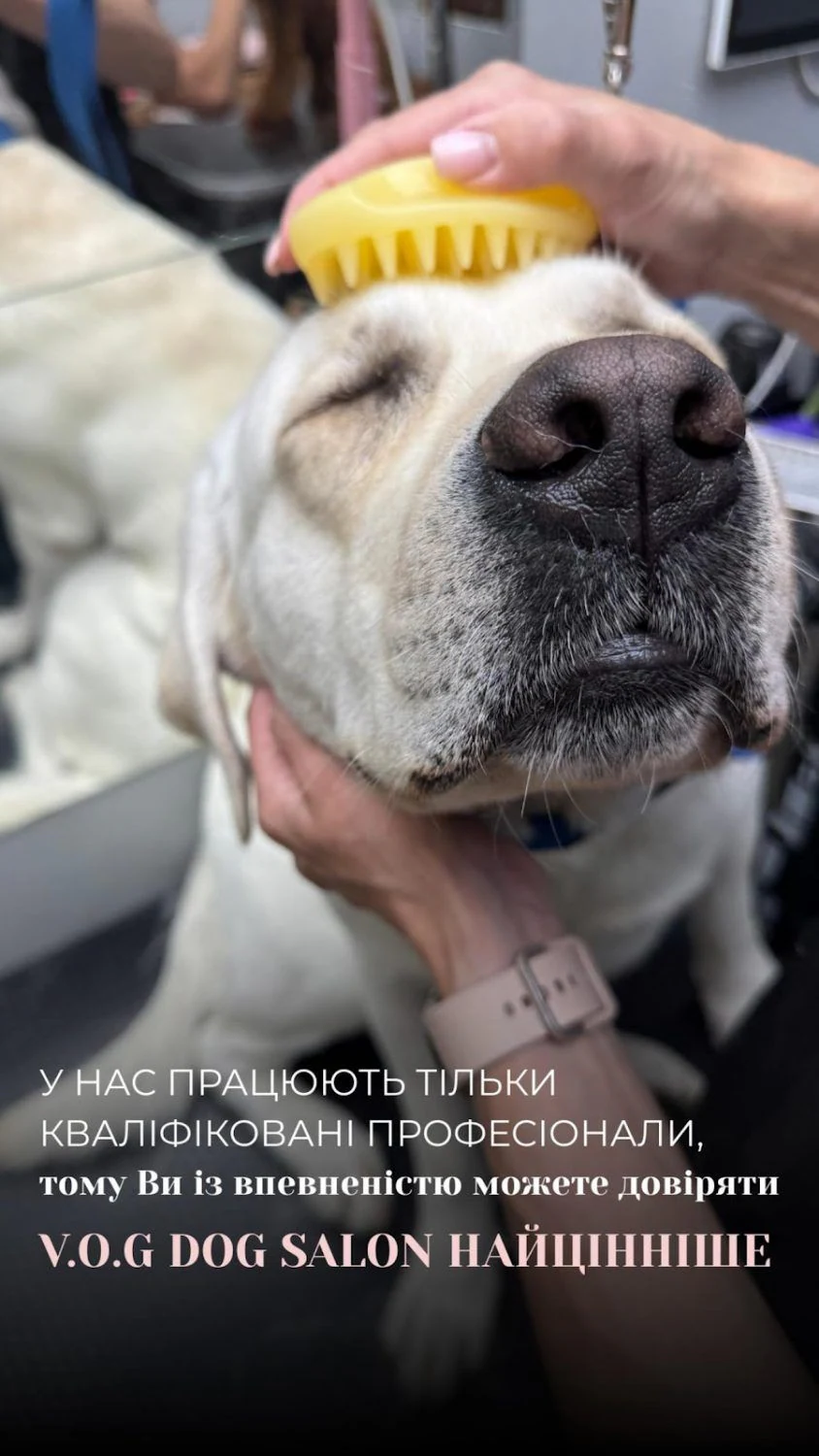 Перукарня для собак і котів "V.O.G DOG SALON" — фото 2