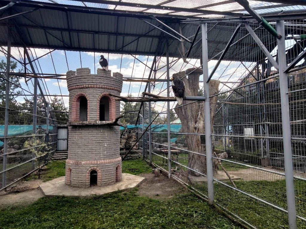 Подільський зоопарк — фото 3