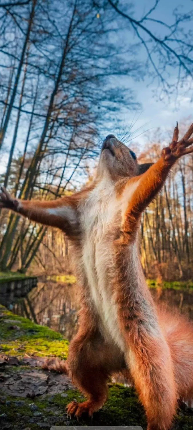 Зоомагазин "E-ZOO" — фото 5