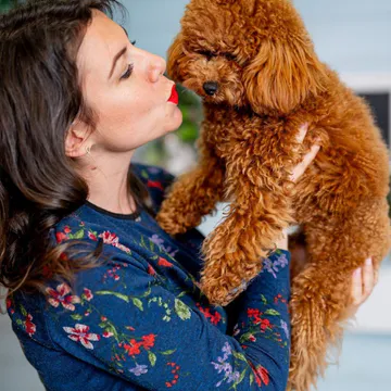 Фото бізнесу Груминг салон "Beauty Pets Grooming"