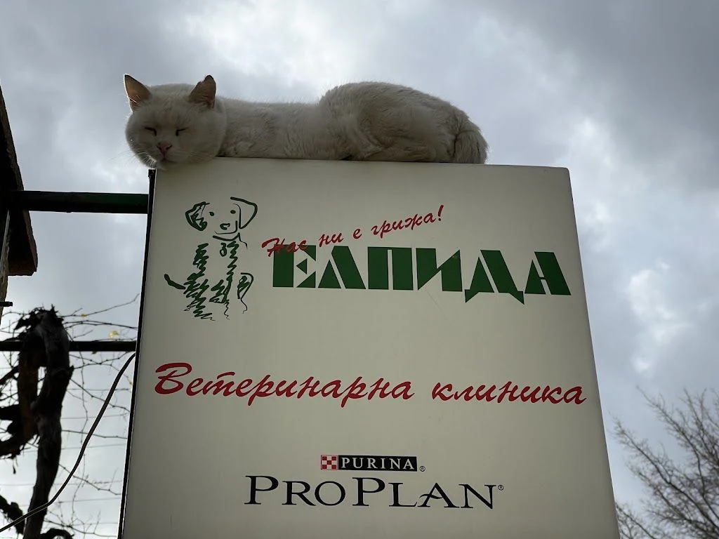 Ветеринарна клиника и зоомагазин "Елпида" — фото 2