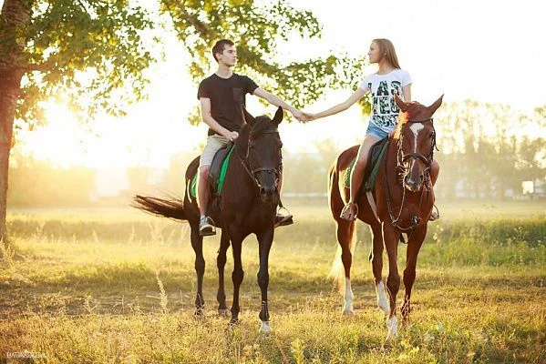 "Horse & Pet" - кінна амуніція та зоотовари — фото 2