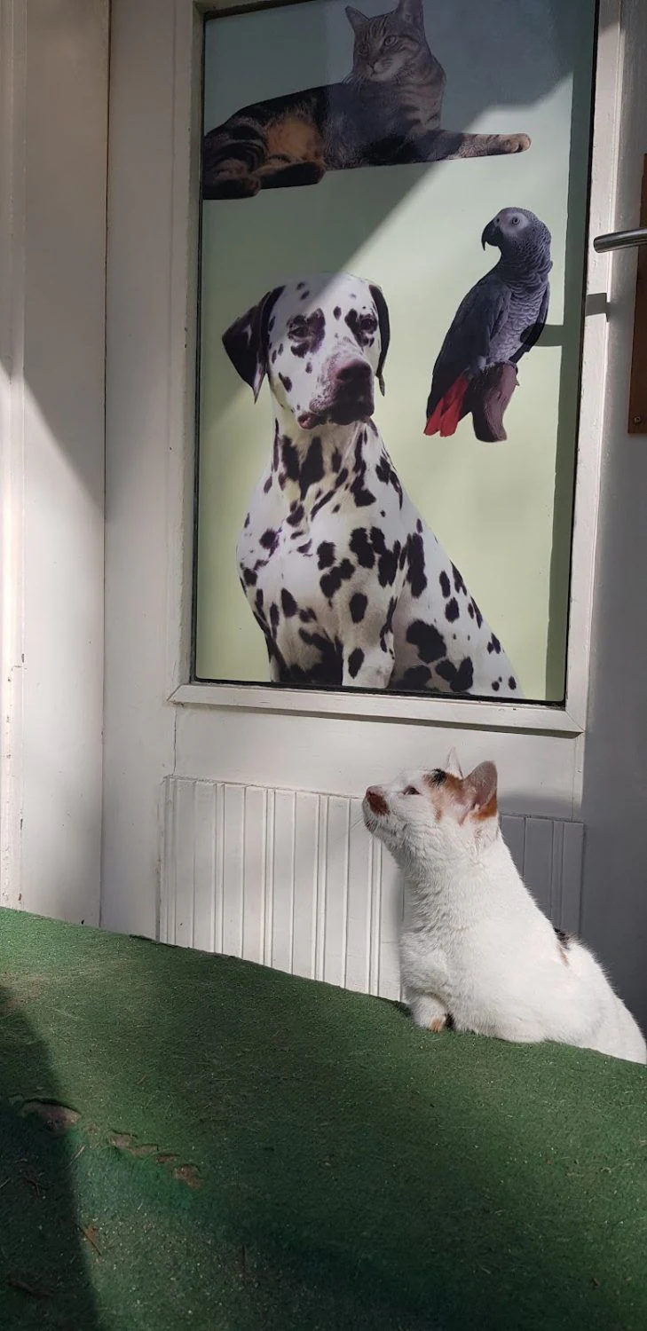 Ветеринарен кабинет „УниВет“ — фото 4