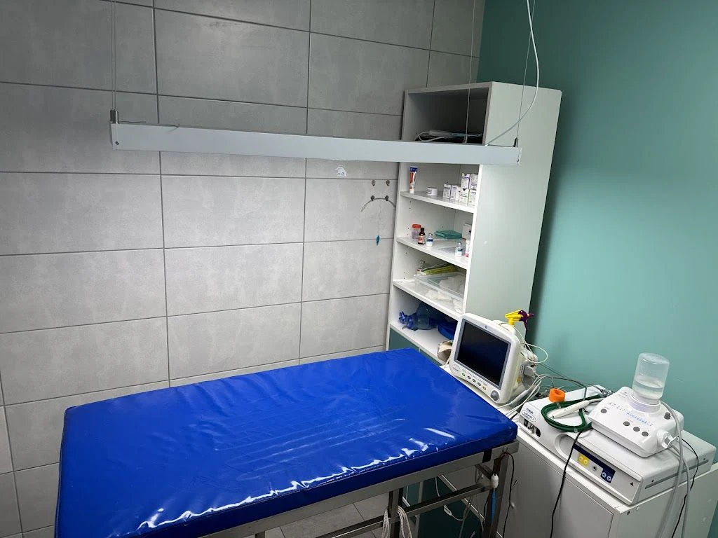 Ветеринарна клініка "Vet Station" — фото 2