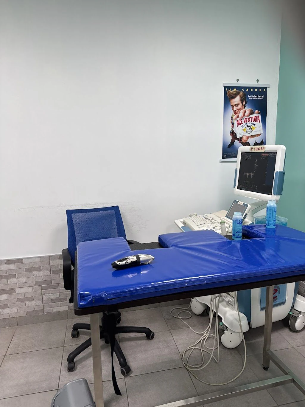Ветеринарна клініка "Vet Station" — фото 4