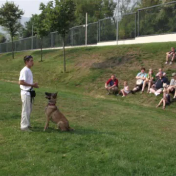 Фото бізнесу Училище за кучета ''K9 World"