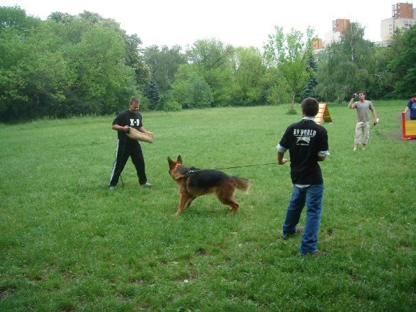 Училище за кучета ''K9 World" — фото 2
