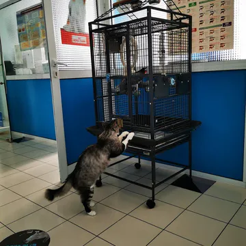 Фото бізнесу Французька ветеринарна клініка