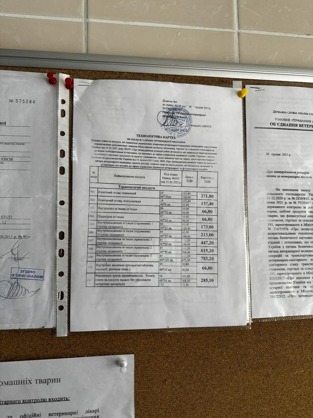 Міська клініка дрібних тварин — фото 4