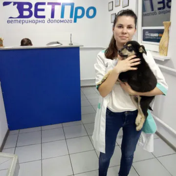 Фото бізнесу Ветеринарна Клініка "ВЕТПро"
