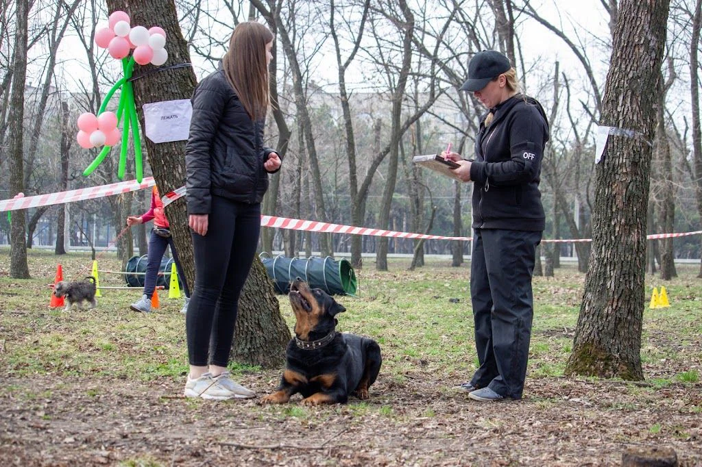 Дресирування собак "K-9" — фото 4