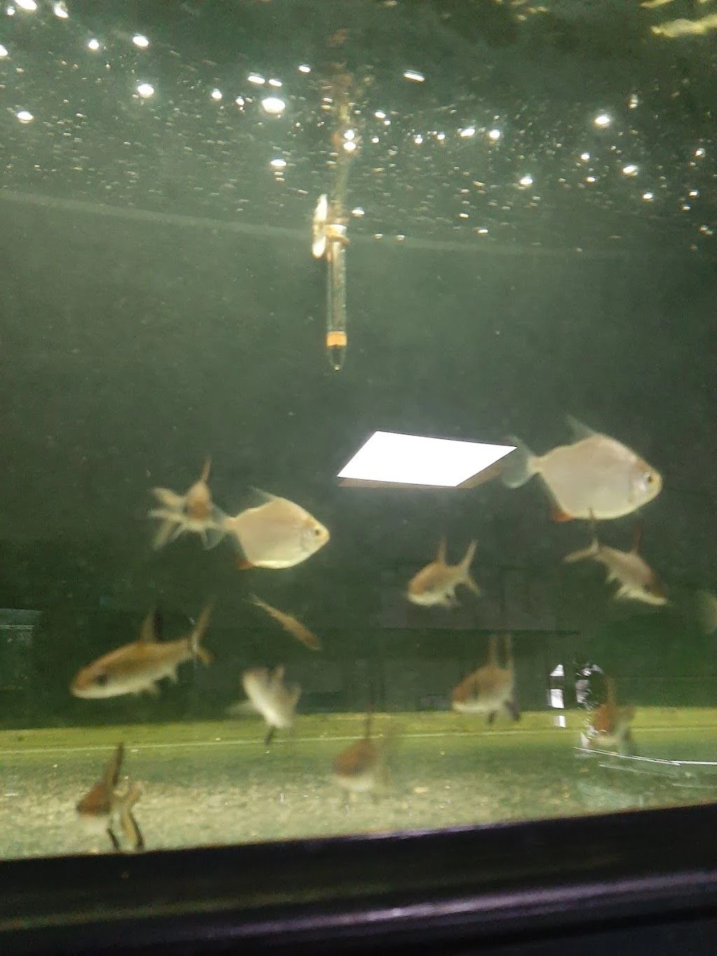 Зоомагазин "АкваЗоо" — фото 3