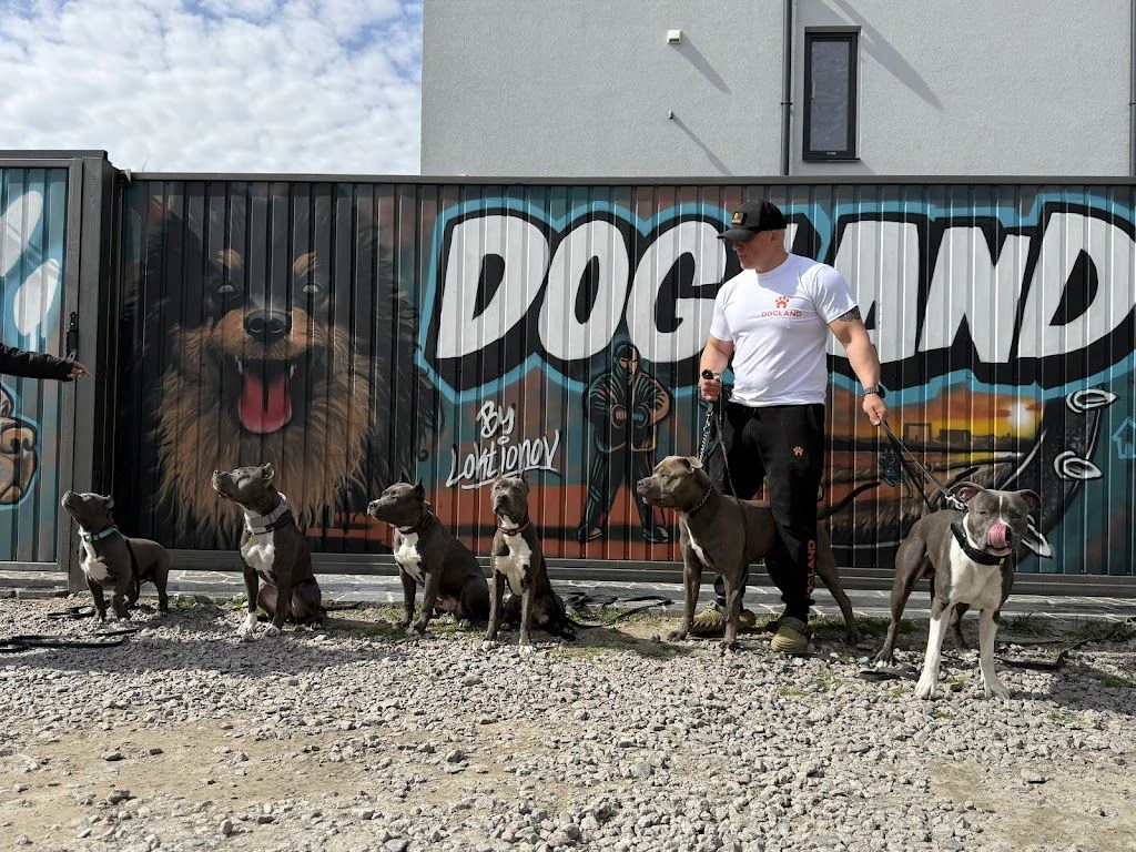 DOGLAND by Loktionov | КІНОЛОГ У КИЄВІ | ДРЕСИРУВАННЯ СОБАК КИЇВ — фото 2