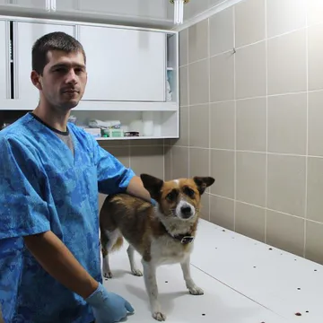 Фото бізнесу Ветеринар на дім