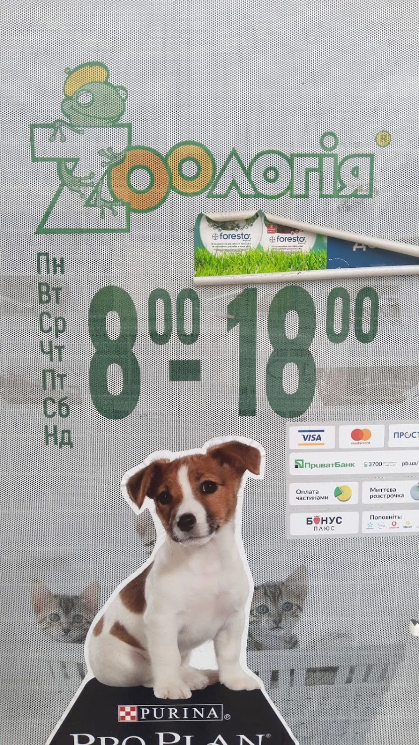 Магазин «Зоо» — фото 2