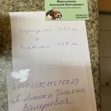 Фото бізнесу Ветеринарна клініка "ЛАПУШКА"