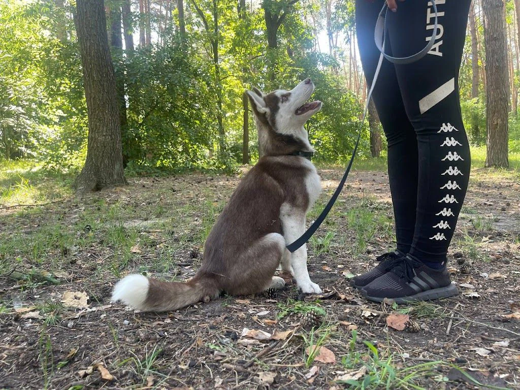 Кінологічний клуб «MyPet” — фото 5