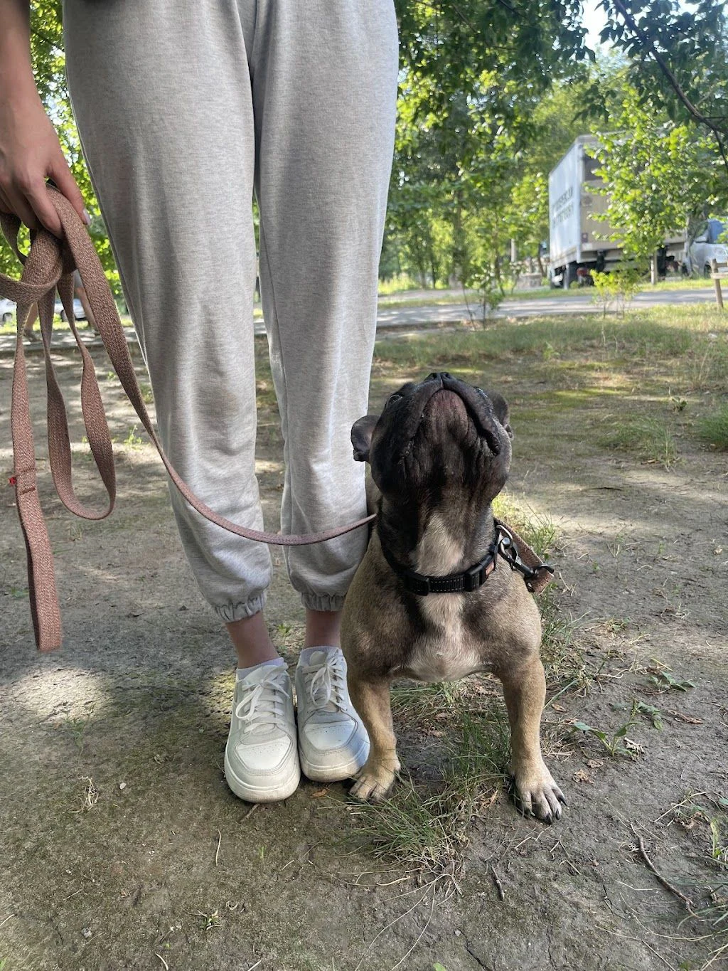 Кінологічний клуб «MyPet” — фото 2