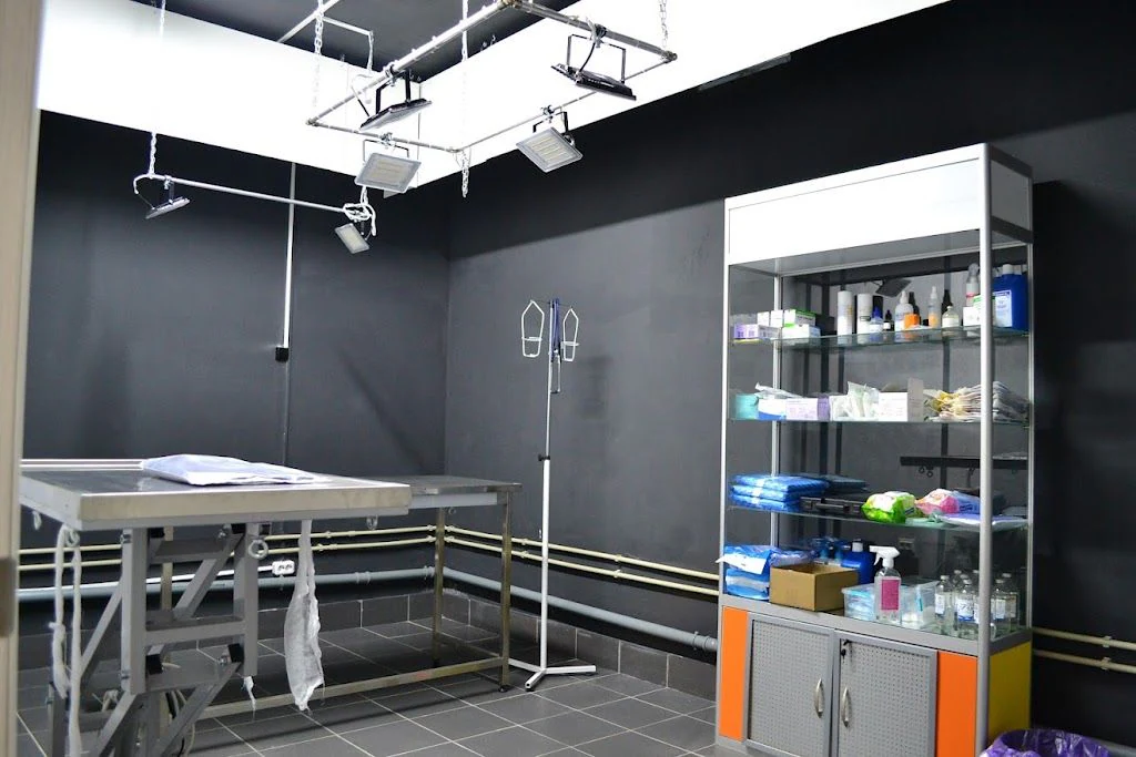 Ветеринарна клініка "#MobileVet" — фото 2