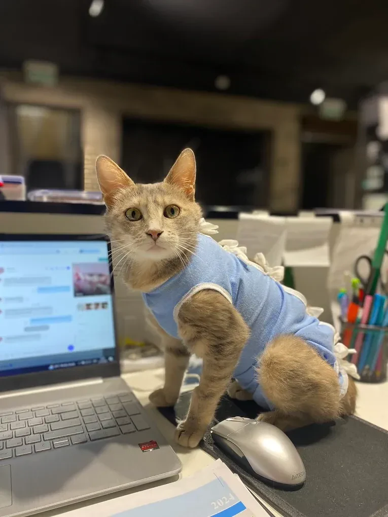 Ветеринарна клініка "#MobileVet" — фото 7