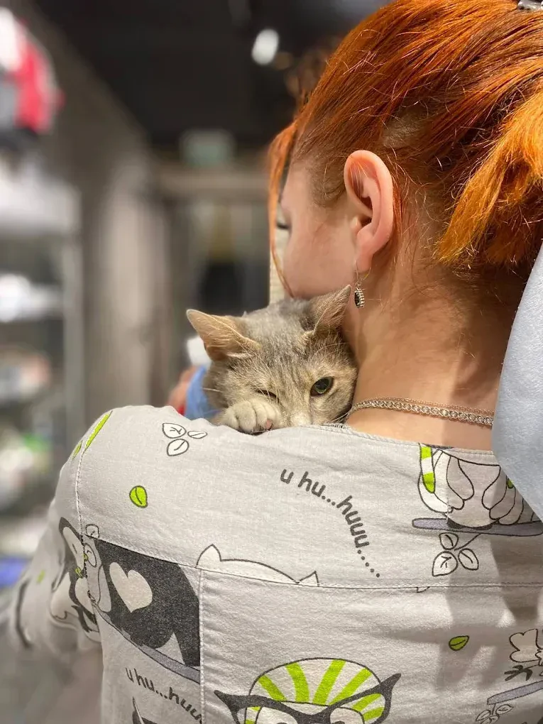 Ветеринарна клініка "#MobileVet" — фото 9