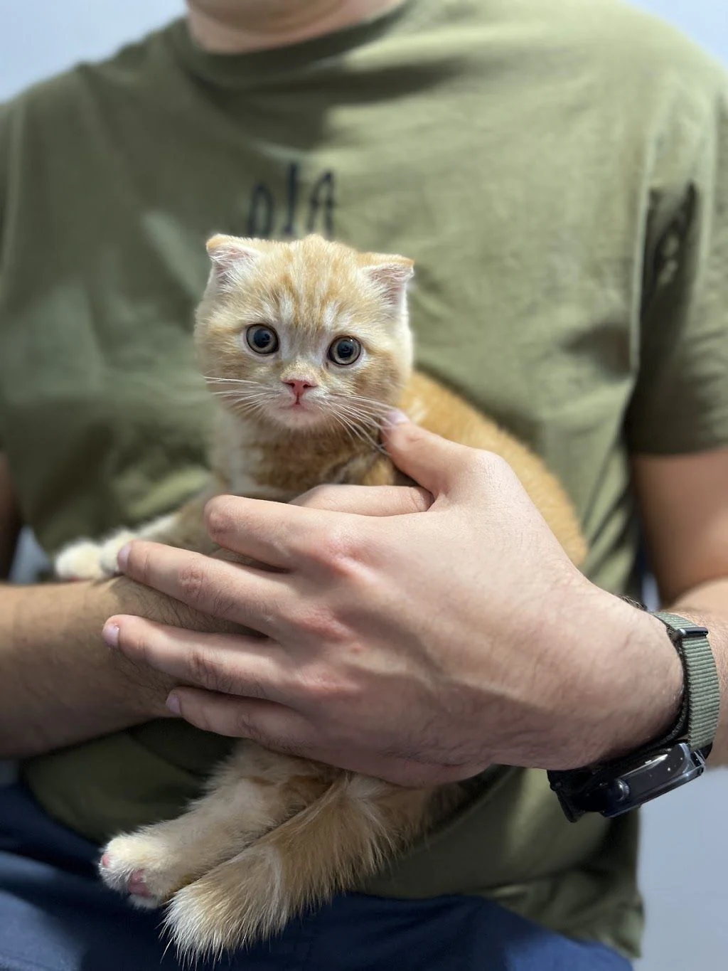 Ветеринарна клініка “VetLife” — фото 4