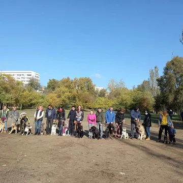 Фото бізнесу Школа комфортних собак "Арга"
