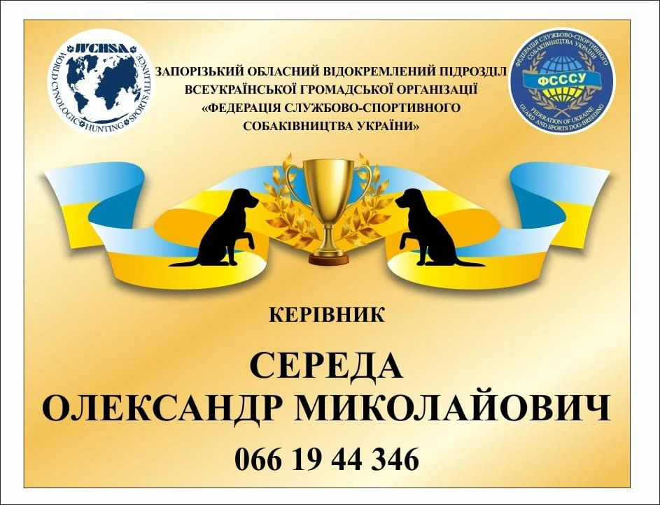 Школа комфортних собак "Арга" — фото 5
