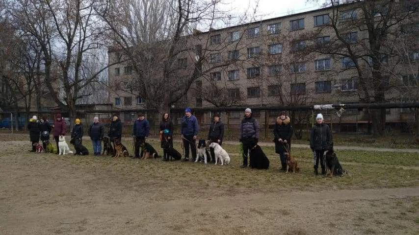 Школа комфортних собак "Арга" — фото 2