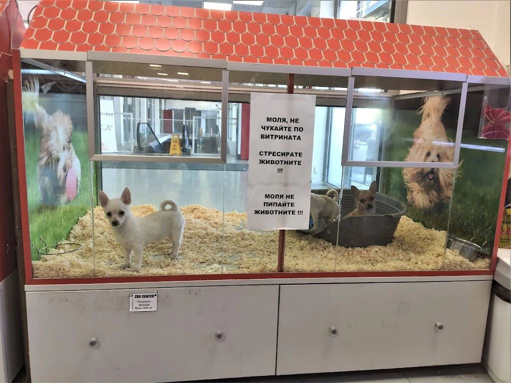 Ветеринарна клиника "ZOO CENTER" - Ритейл Парк Средец — фото 5