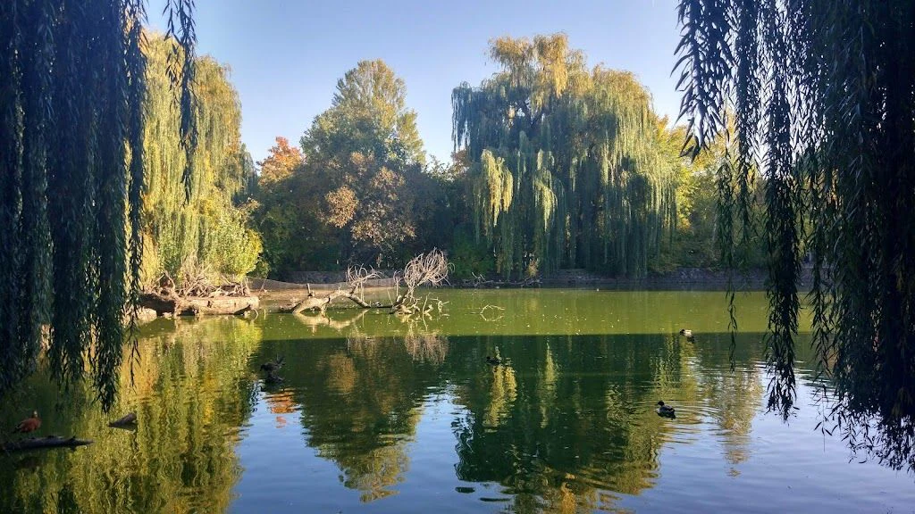 Черкаський міський зоологічний парк "Рошен" — фото 2