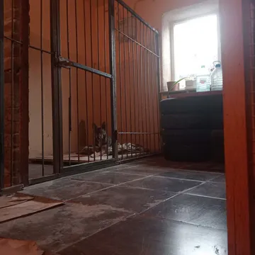 Фото бізнесу Готель для тварин "Animals Hotel"