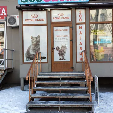 Фото бізнесу Зоомагазин та розплідник шотландських котів "ЗооЗабава"