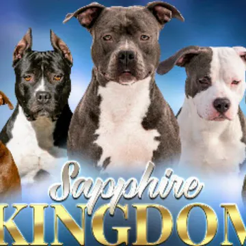 Фото бізнесу Розплідник "Sapphire Kingdom"