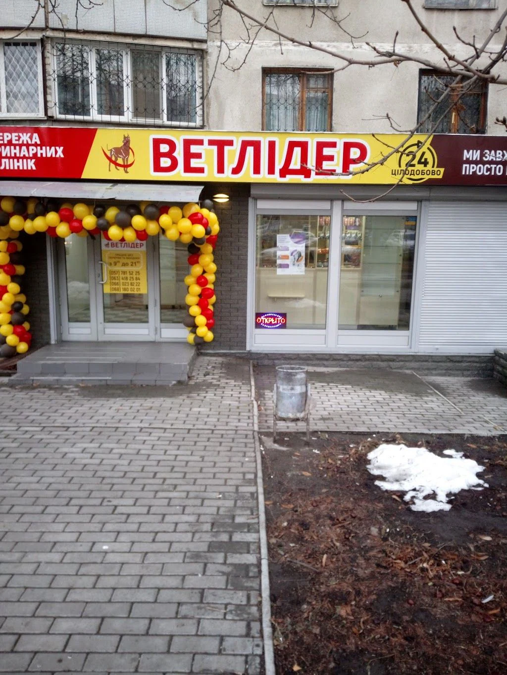 Ветеринарна лікарня "ВетЛідер" — фото 2